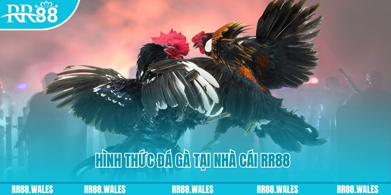 33win02 PS Điện Tử