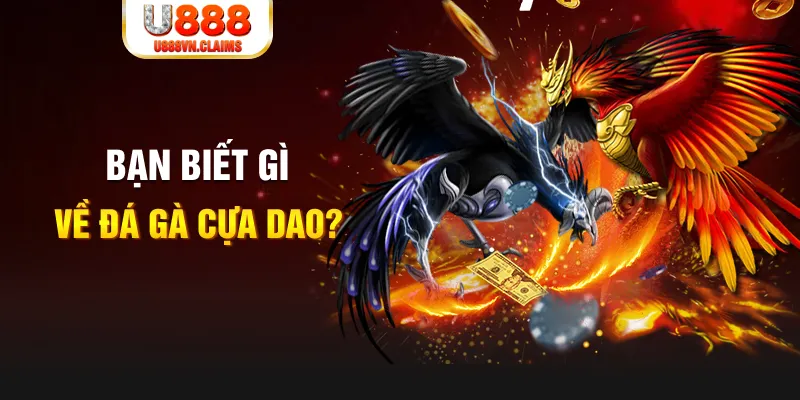 33win02 xổ số kiến thiết