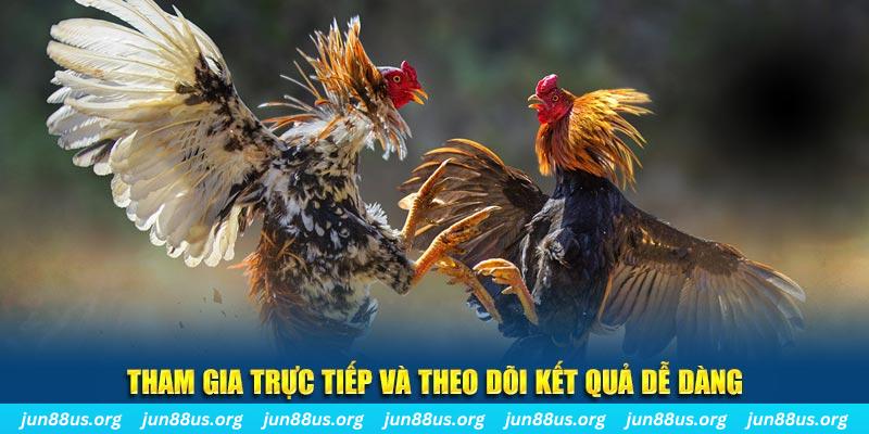 33win02 đá gà trực tiếp bình luận viên