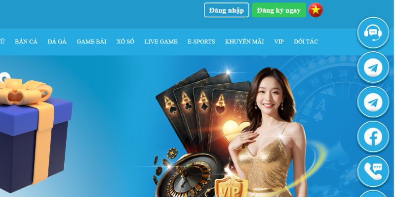 33win02 slot là gì dịch