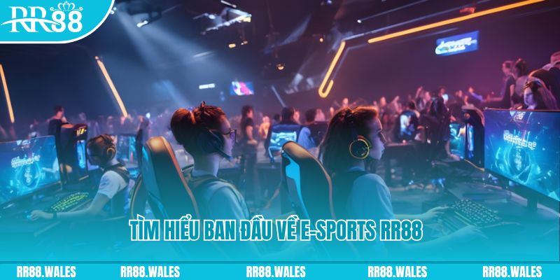 33win02 Đĩa màu ace