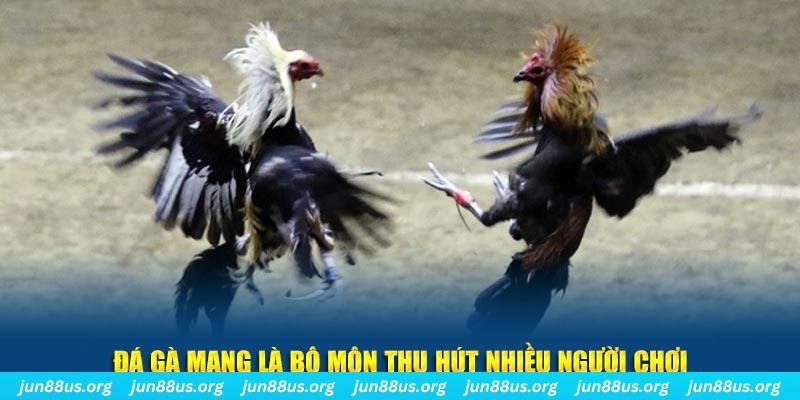 33win02 xổ số cà mau