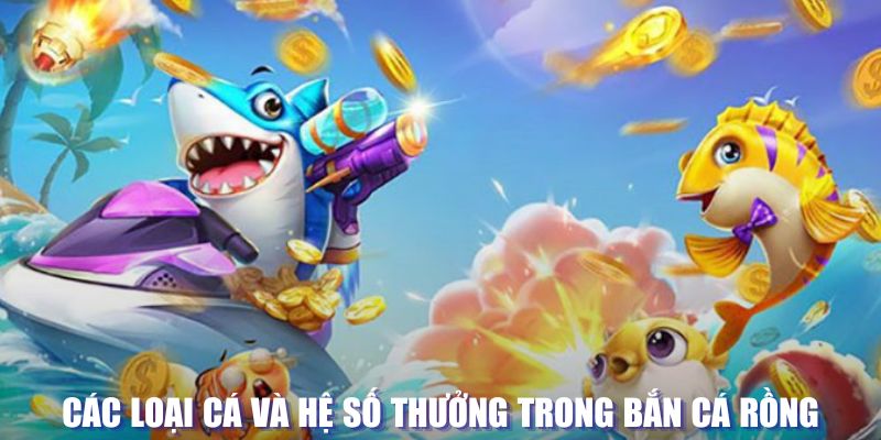 33win02 loi game dot kich ket noi may chu that bai