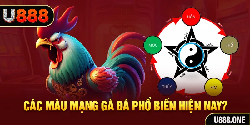 33win02 đăng nhập mậu binh