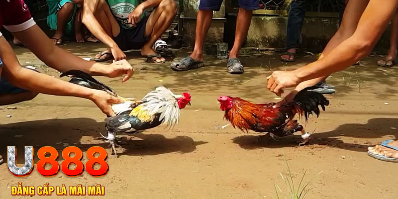 33win02 đăng nhập mậu binh rút tiền nhanh