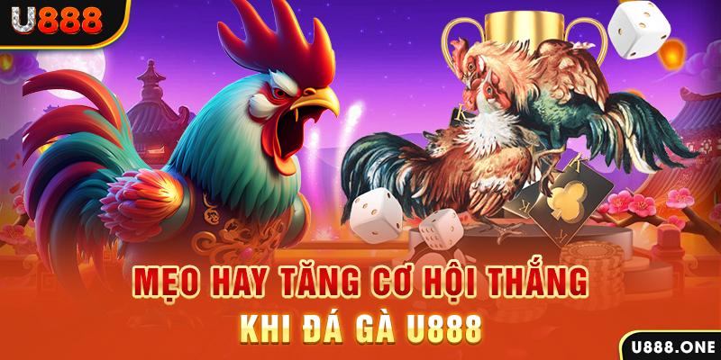 33win02 trực tiếp gà chọi c1
