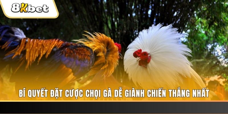 33win02 Tài Xỉu 2