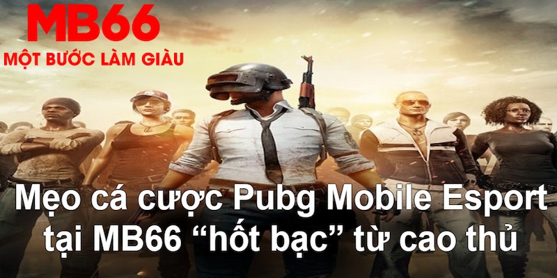 33win02 gà chọi mộc hóa
