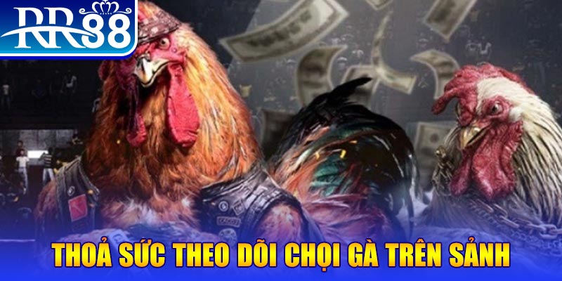 33win02 đá gà 88.com