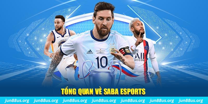 33win02 gà chọi c1 tv trực tiếp hôm nay