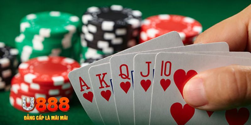 33win02 trực tiếp đá gà